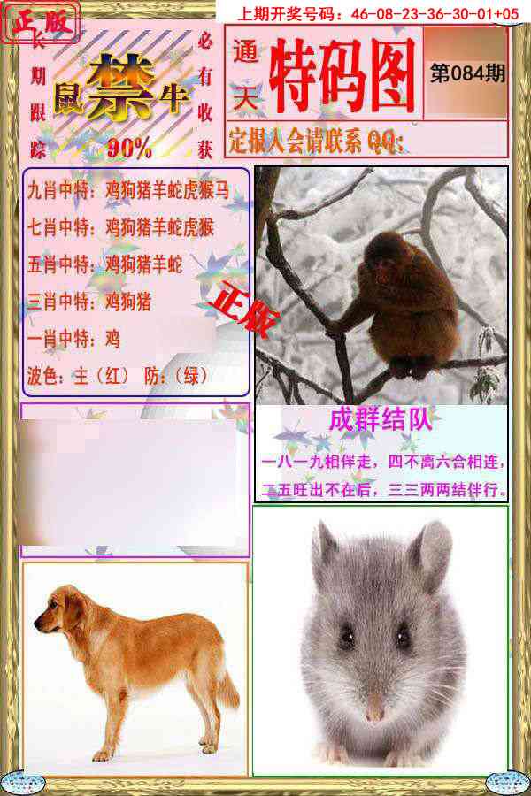 084期特码图[图]