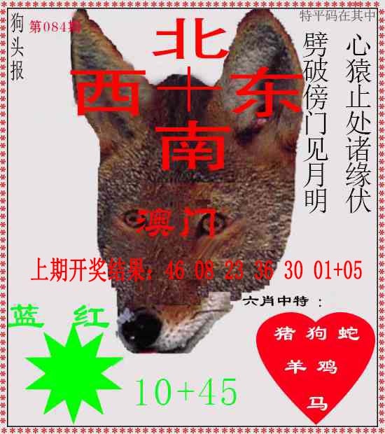 084期狗头报[图]